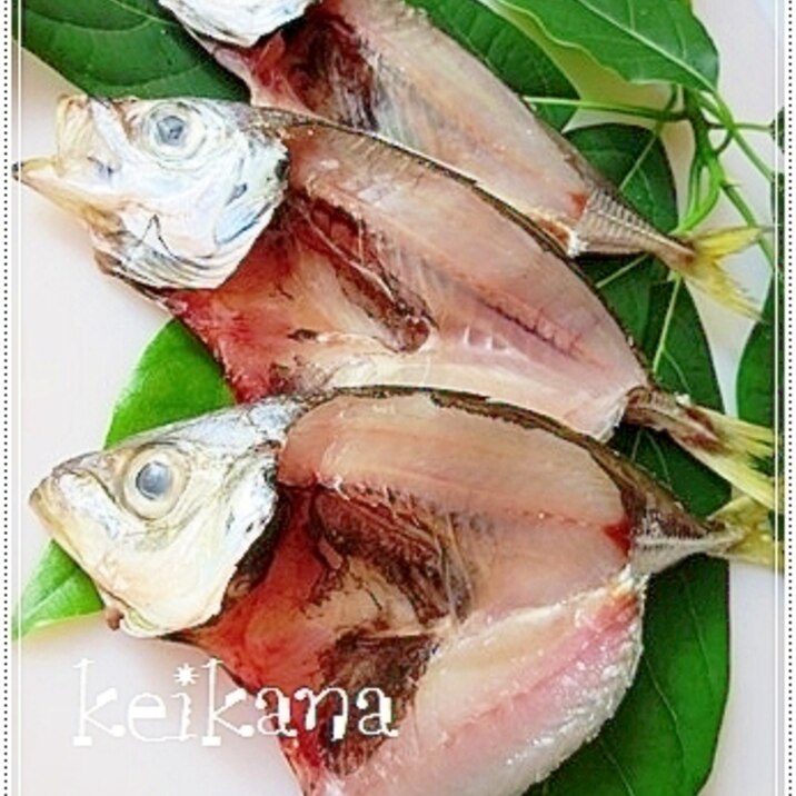 ベランダで超簡単 自家製鯵の干物 レシピ 作り方 By keikana 楽天レシピ ベランダで超簡単 自家製鯵の干物 レシピ 作り方 By keikana 楽天レシピ